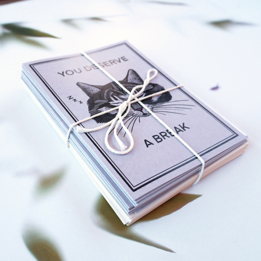 A Cats Life Greeting Card Set (10)