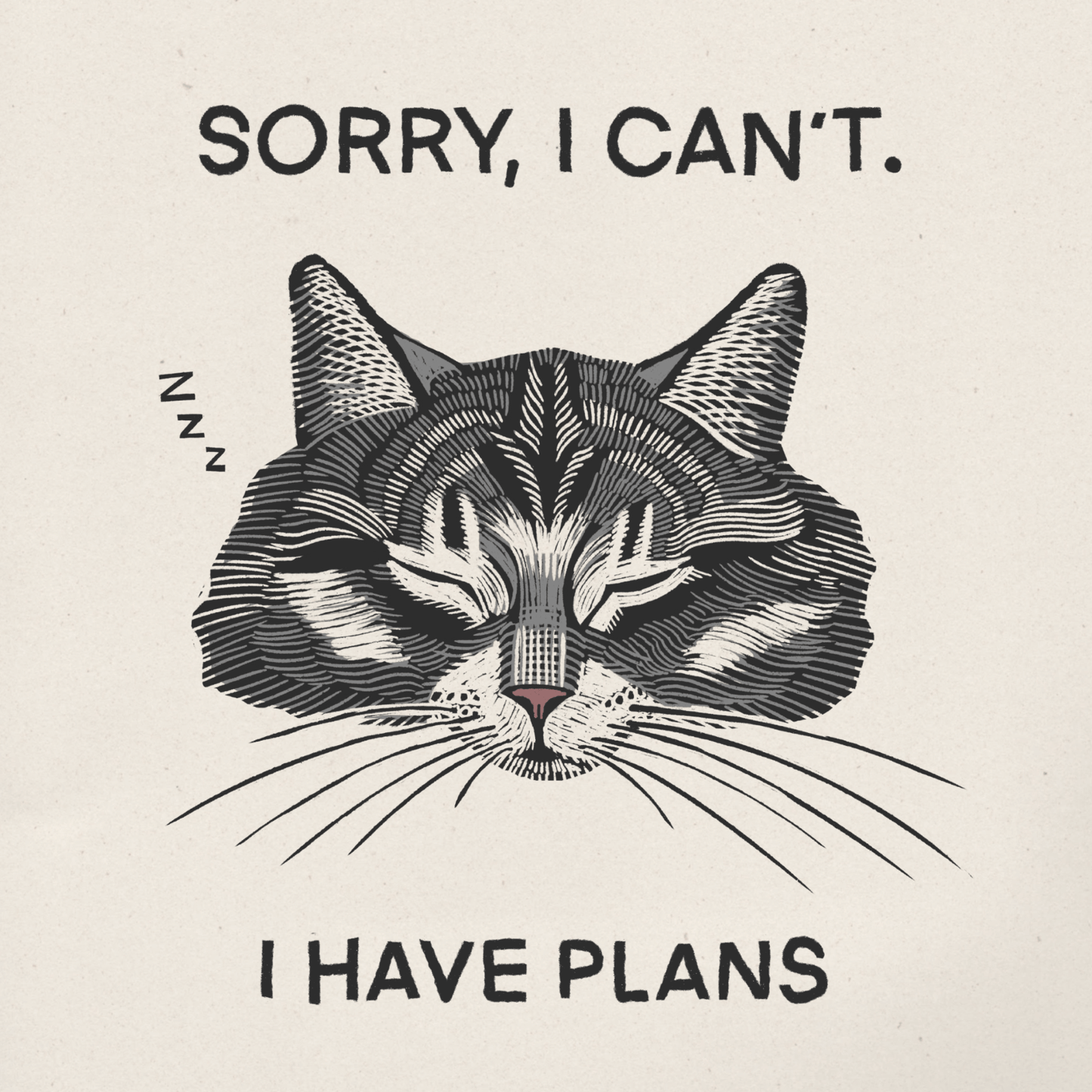 Plans 6x6