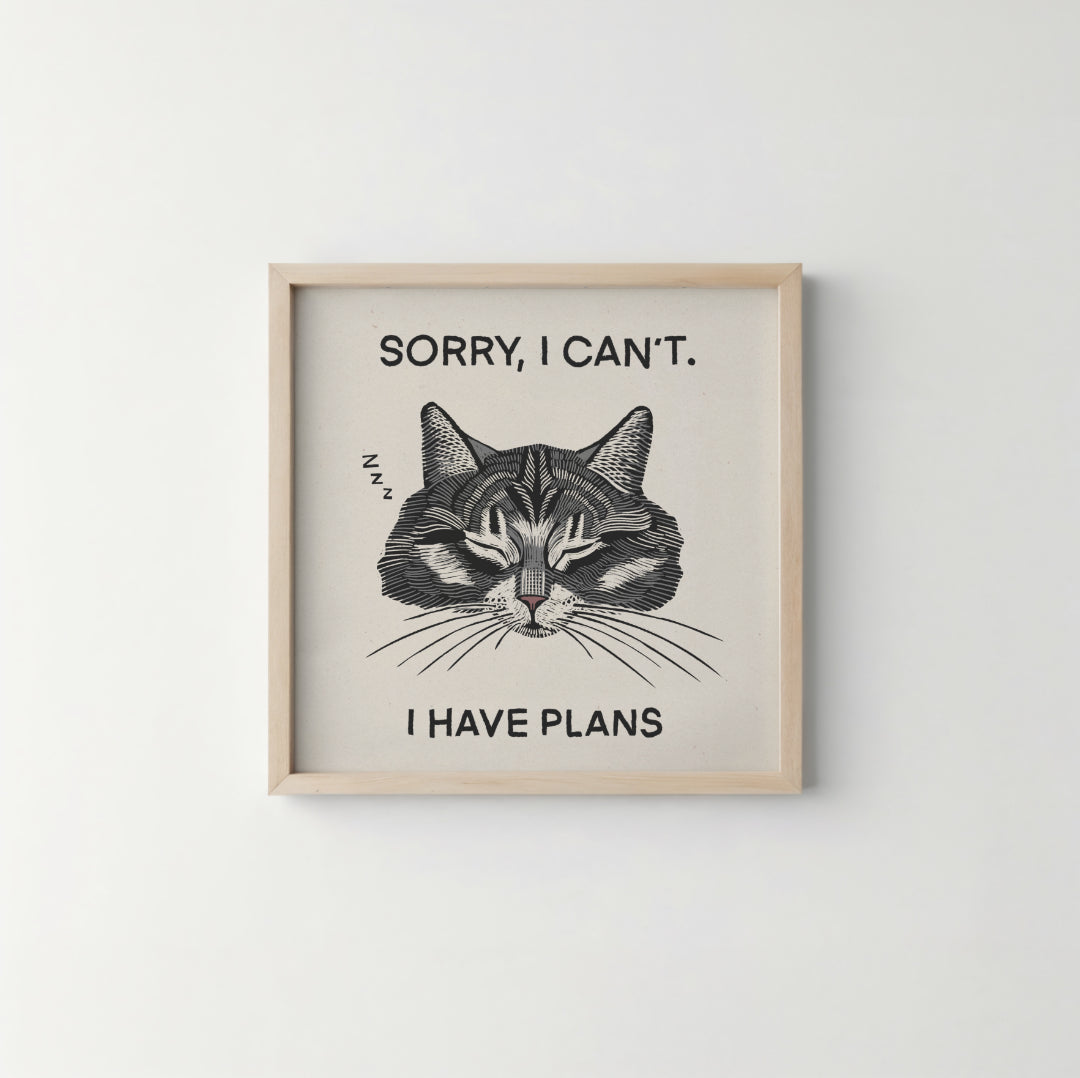 Plans 6x6