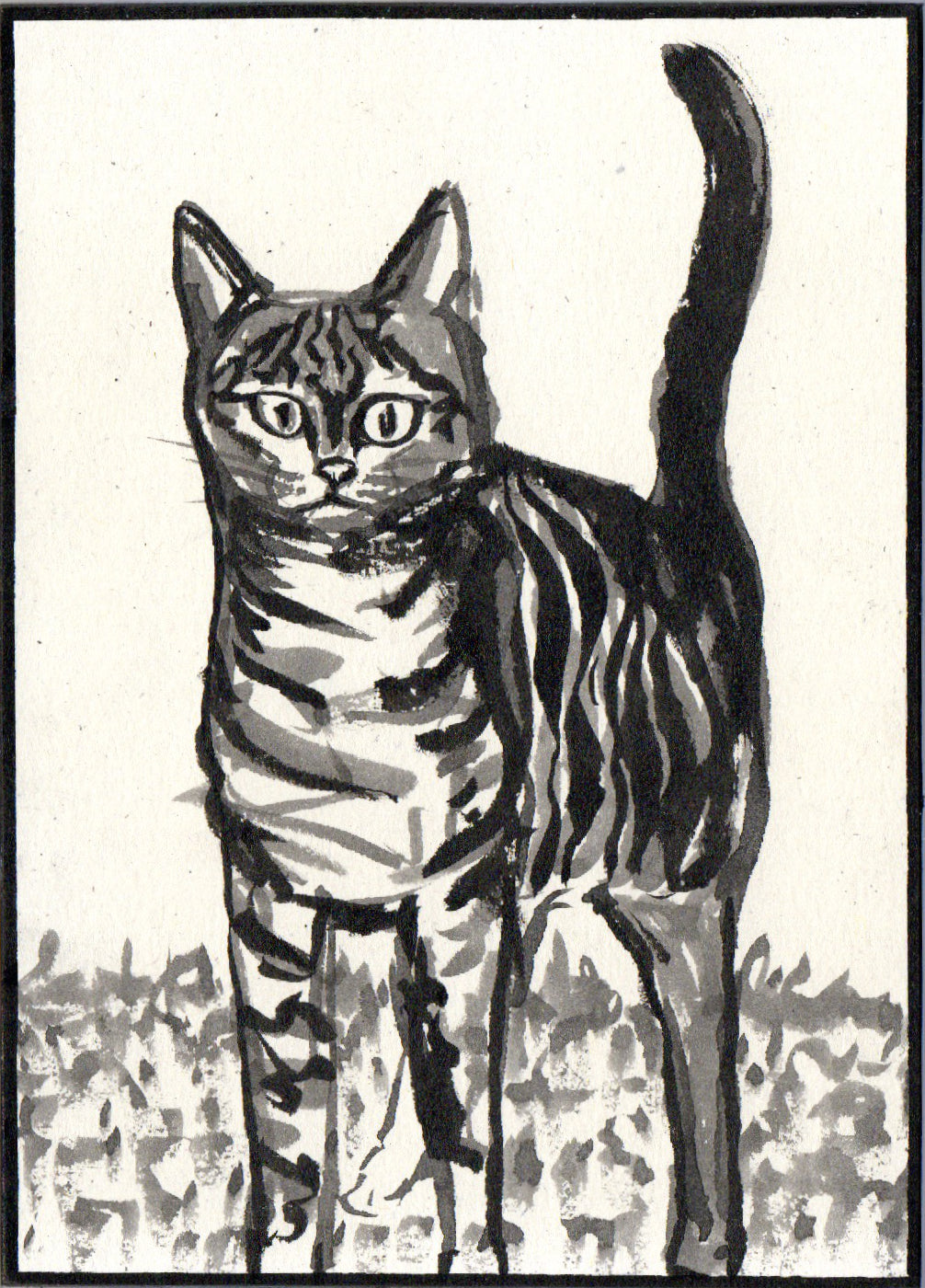 Alert 5x7 Original