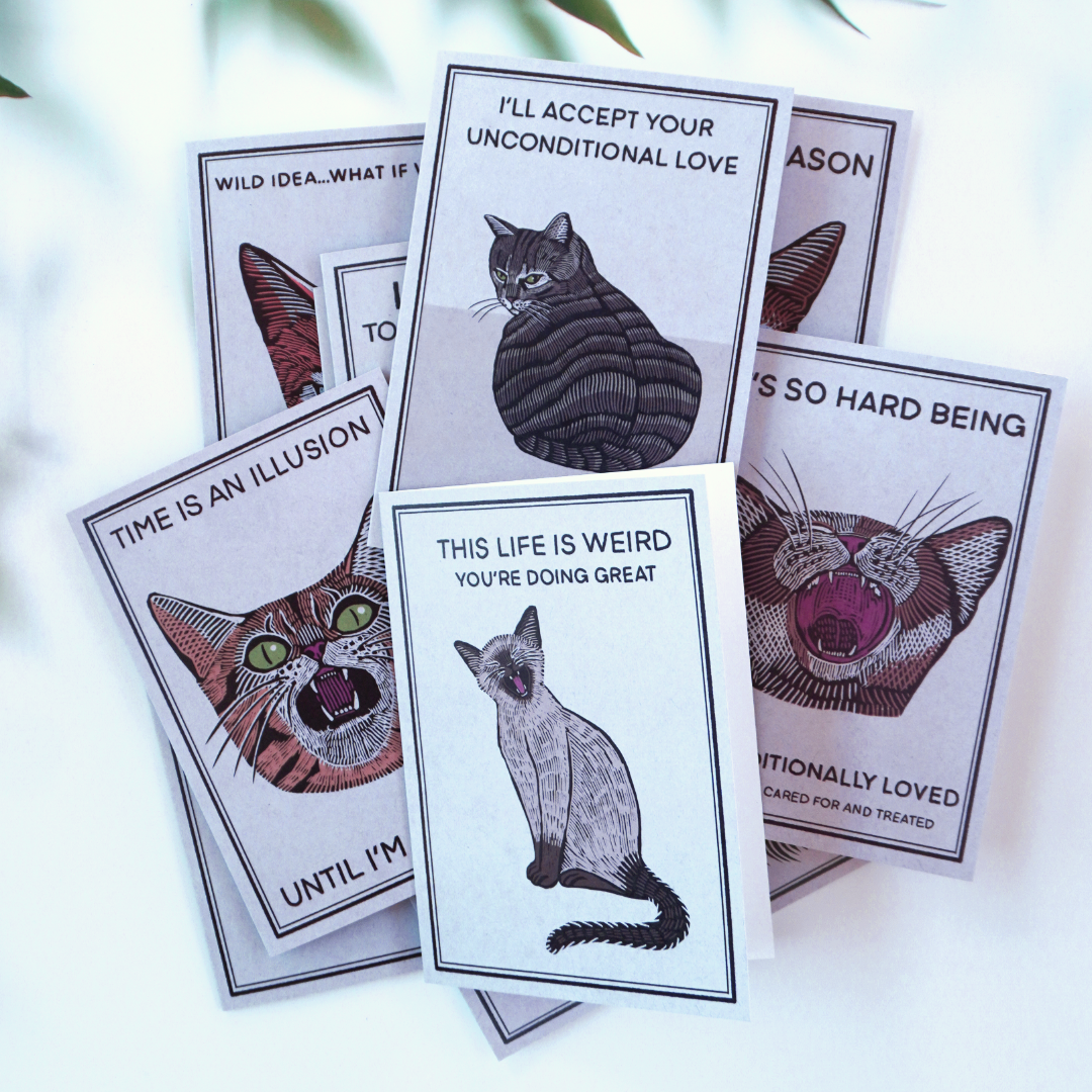 A Cats Life Greeting Card Set (10)