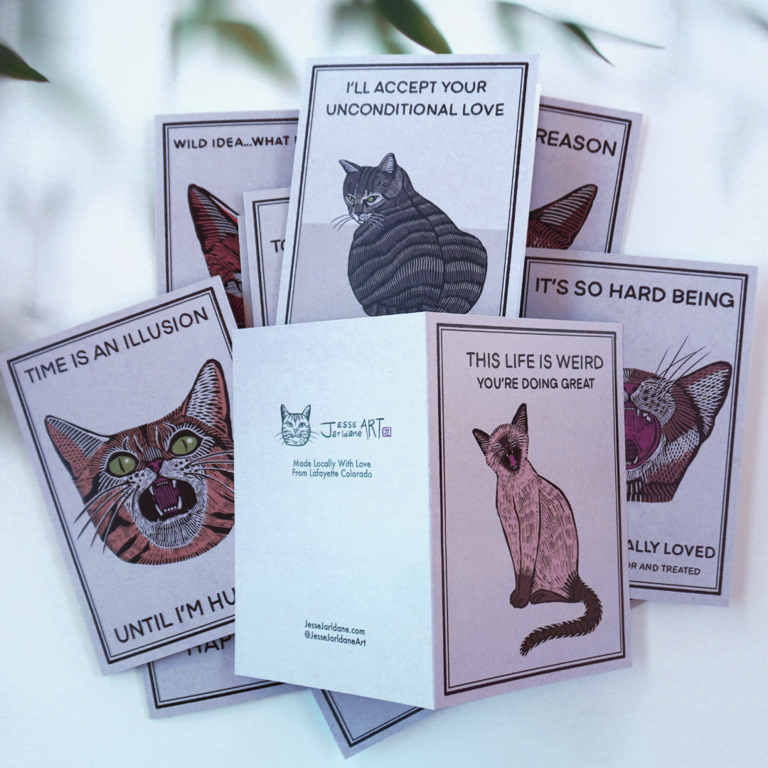 A Cats Life Greeting Card Set (10)