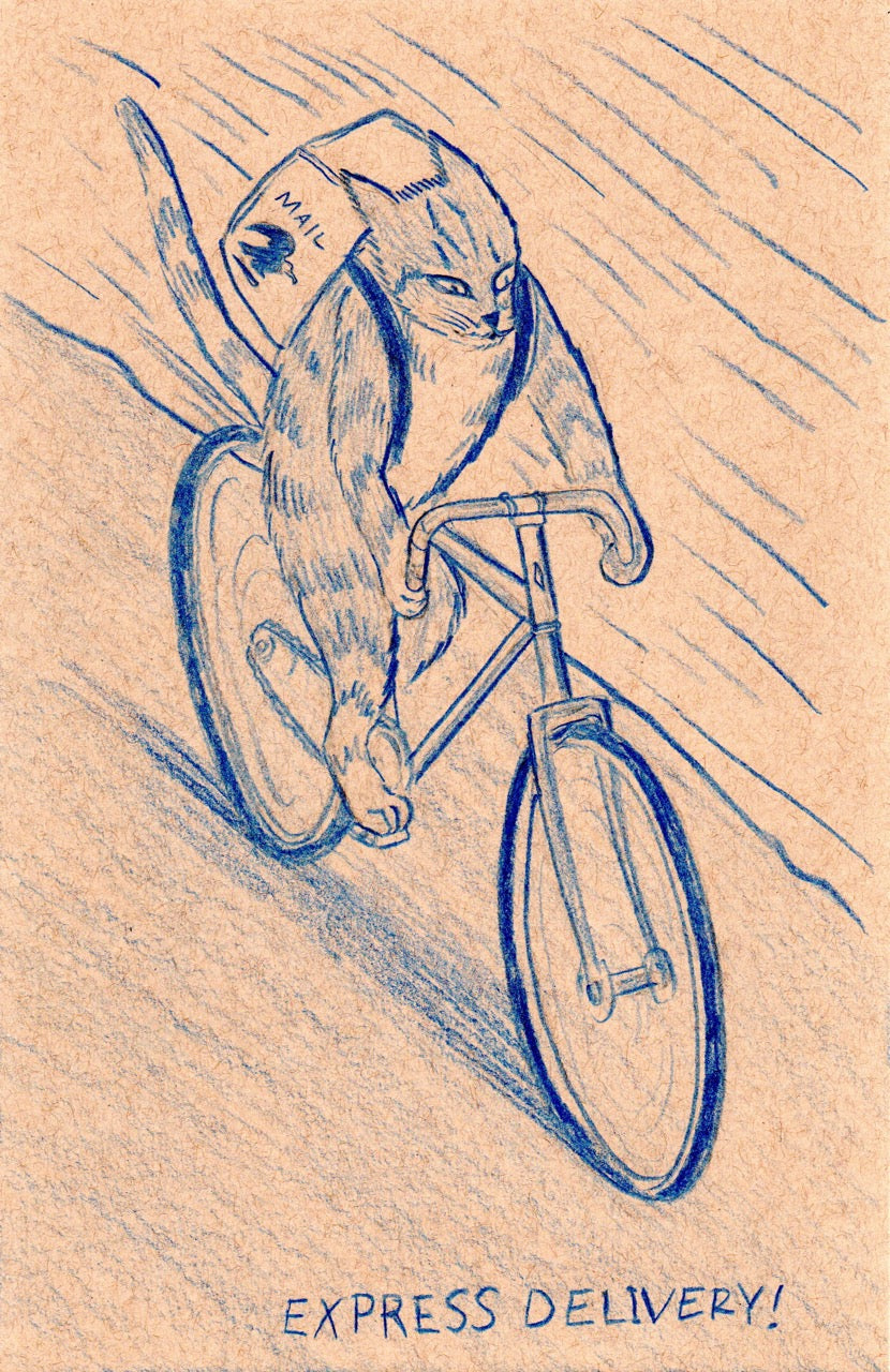 Express Delivery! 5.5 x 8.5 Original