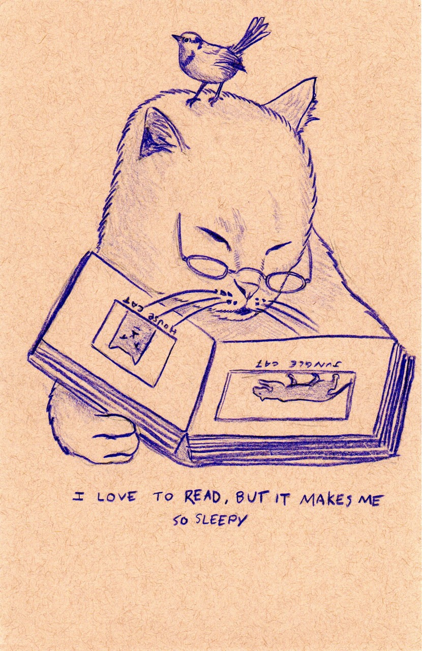 Reading Makes Me Sleepy 5.5 x 8.5 Original