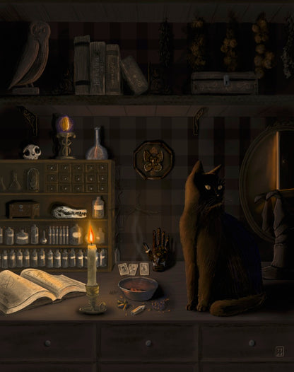 Apothecary Cat 11x14