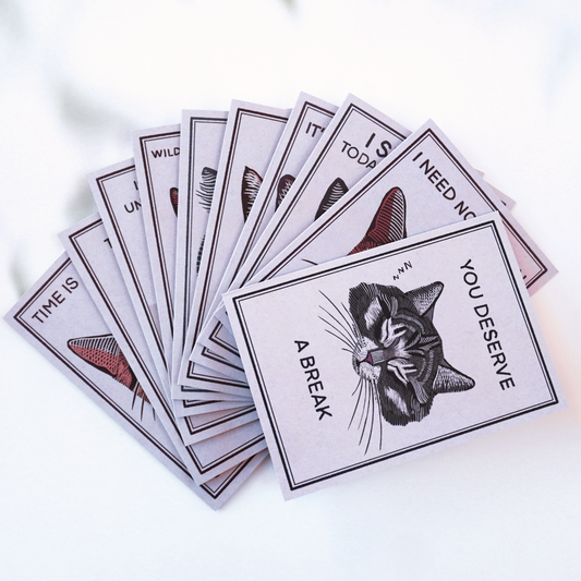 A Cats Life Greeting Card Set (10)