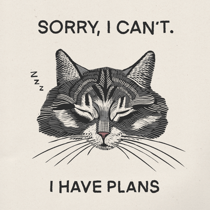 Plans 6x6