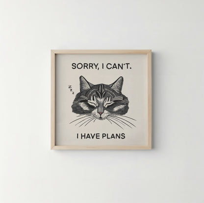 Plans 6x6