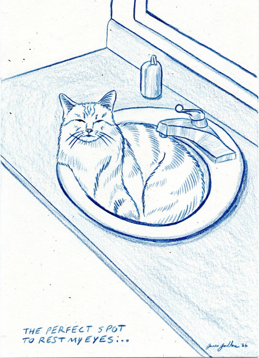 Perfect Spot 5x7 Original