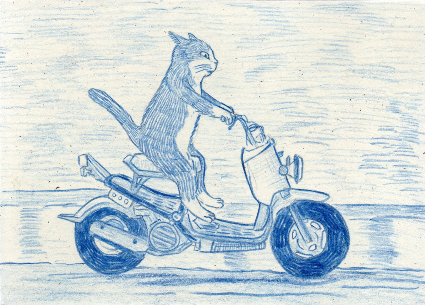Honda Ruckus 5x7 Original