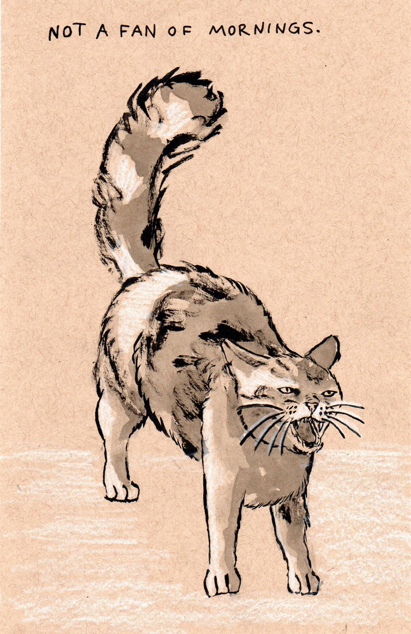 Not a Fan of Mornings 5.5 x 8.5 Original