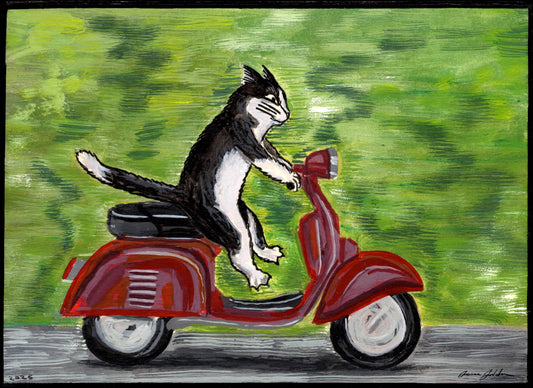 Tuxedo on a Vespa 5x7 Original